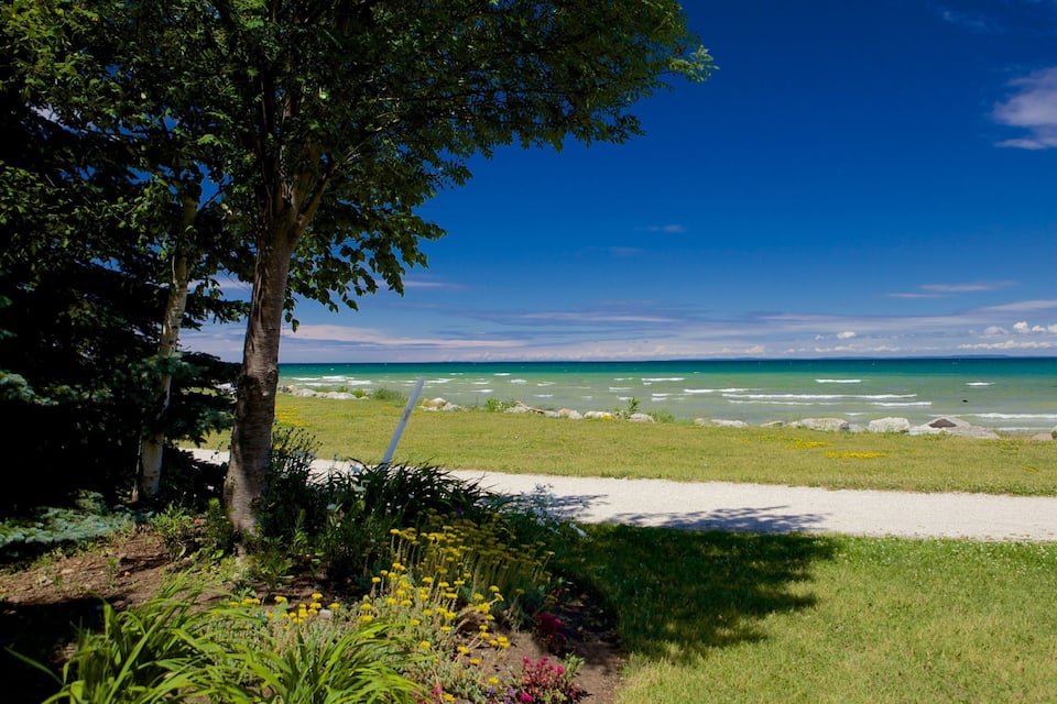 Un paisaje costero con cielo azul despejado, una playa arenosa y una zona cubierta de pasto con flores amarillas.
