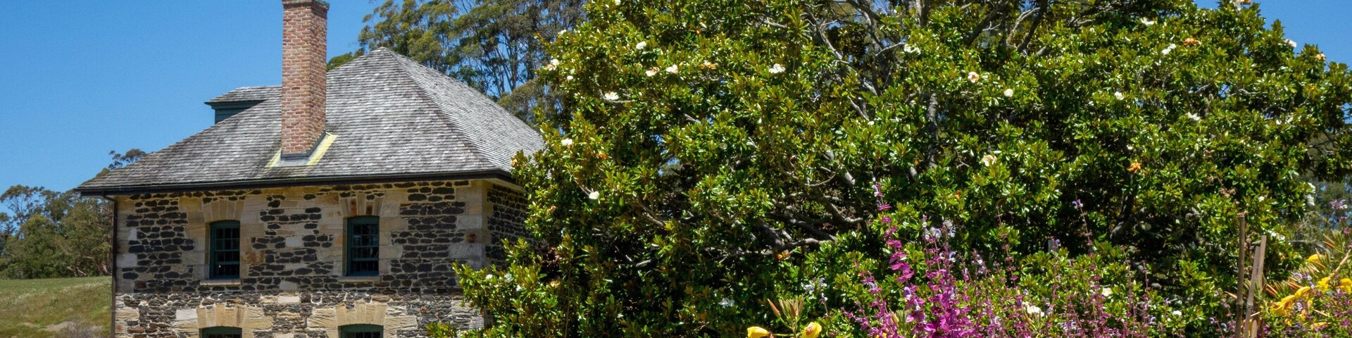 Stone Store which includes wildflowers and heritage elements
