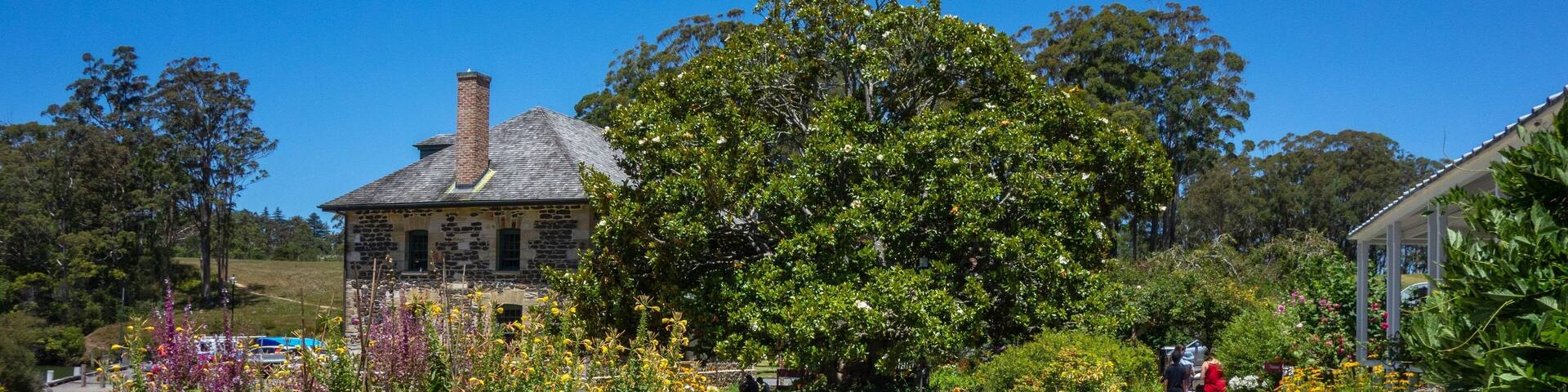 Stone Store which includes wildflowers and a garden