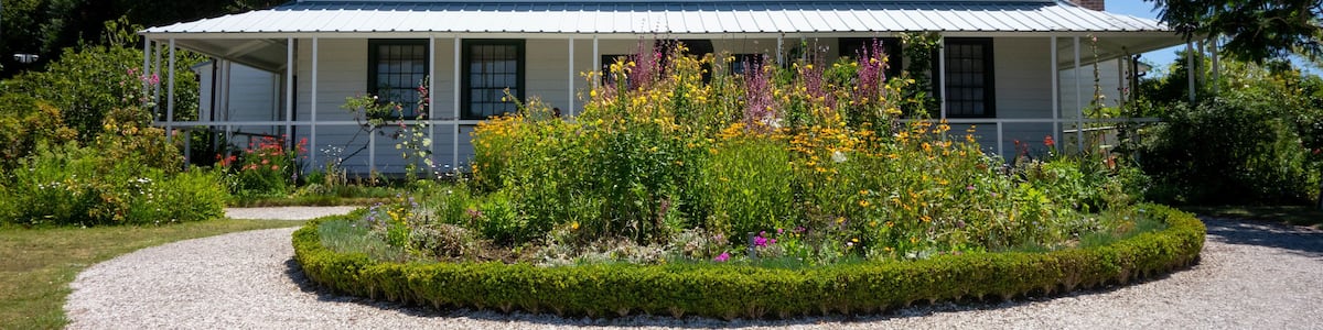 Stone Store showing wildflowers and a house