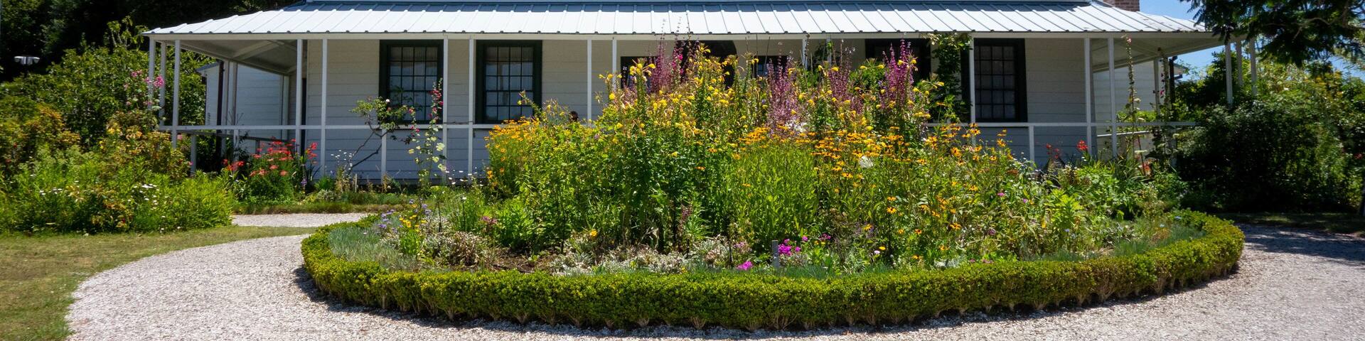 Stone Store showing wildflowers and a house