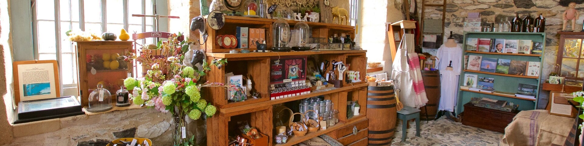 Stone Store ofreciendo vista interna y una casa