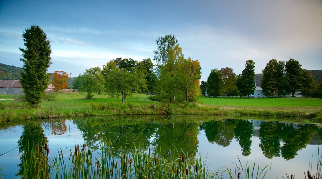 Vermont que incluye un estanque