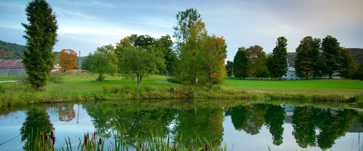 Central Vermont som visar en damm