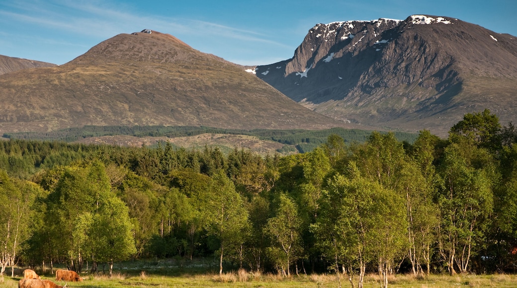 Ben Nevis Distillery