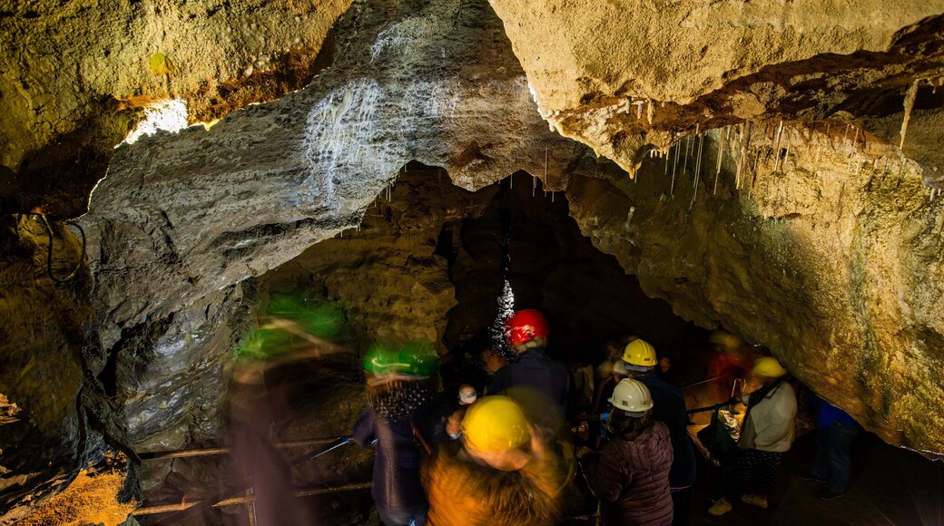 Doolin Cave featuring caving and caves as well as a small group of people