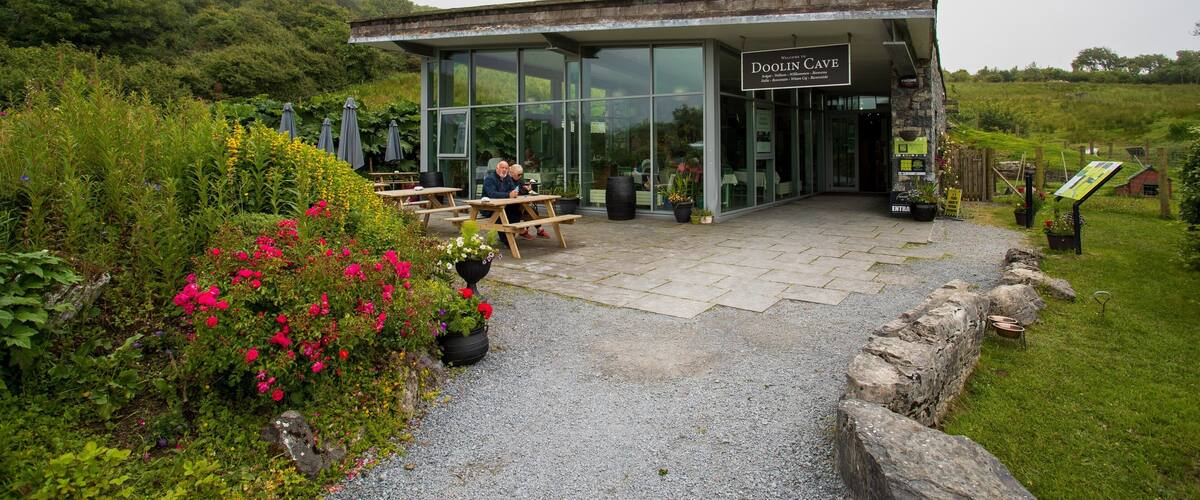 Doolin Cave which includes signage and wildflowers