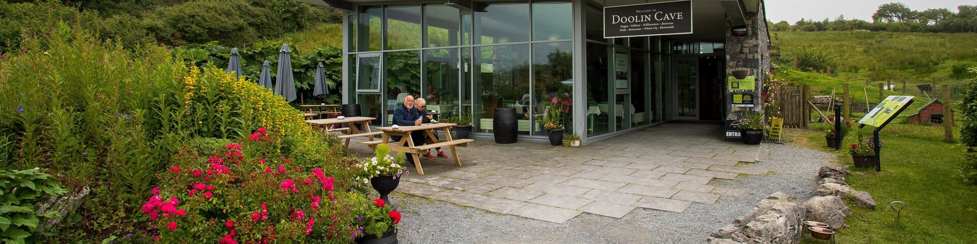 Doolin Cave which includes signage and wildflowers