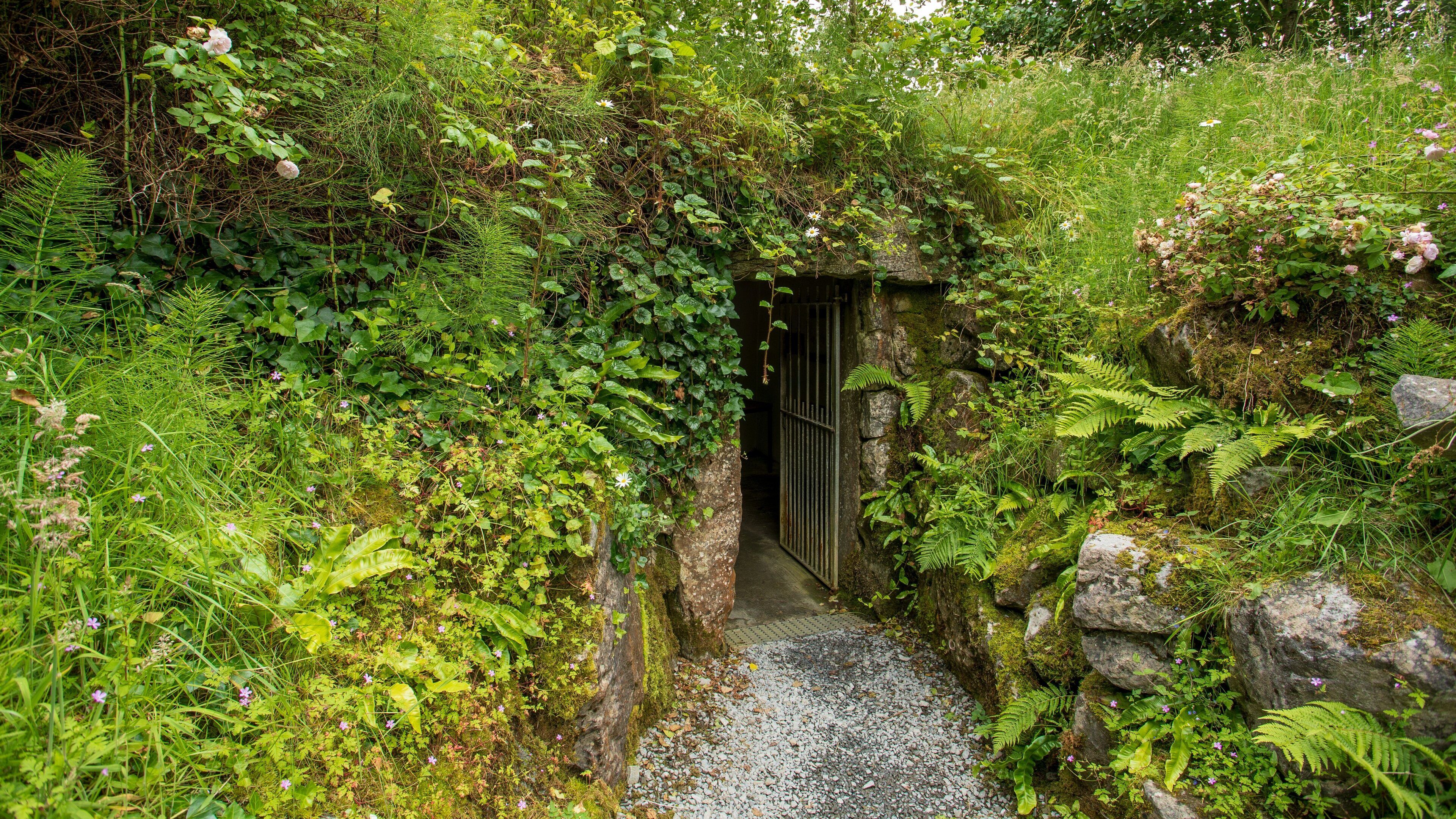 Doolin Cave featuring a park