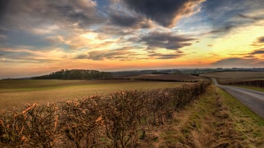 Panoramic Wolds