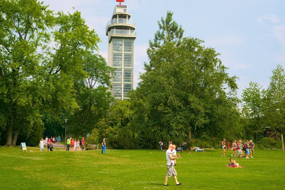 A park with a tall tower and lush green trees.