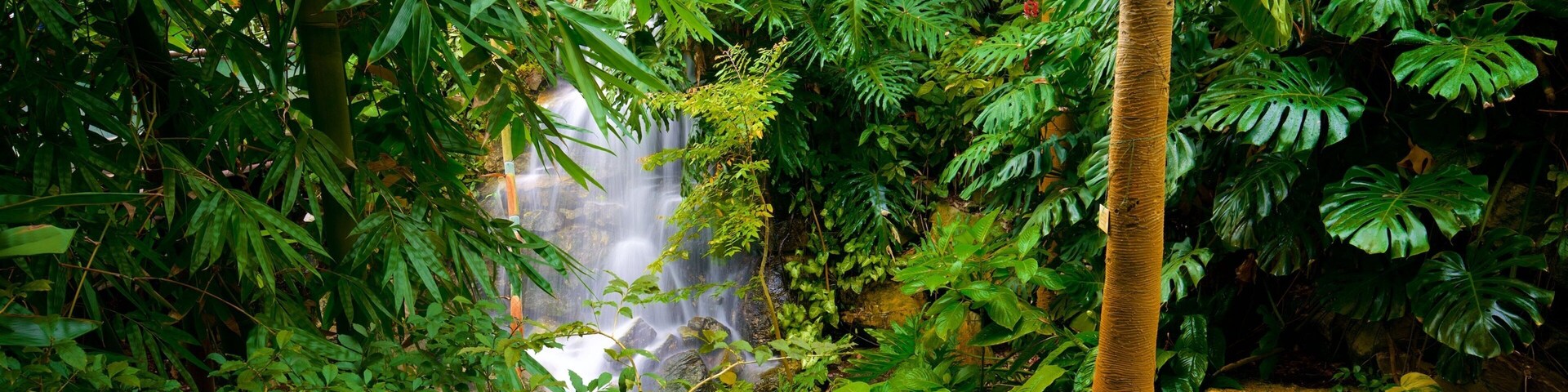 Grugapark Botanical Garden featuring forest scenes