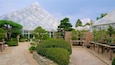 A greenhouse with a glass pyramid roof, various potted plants, and a stone pathway.