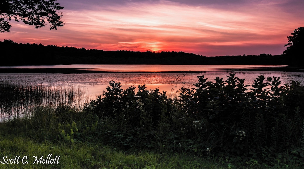 Nice pond near my home in Pelham, NH