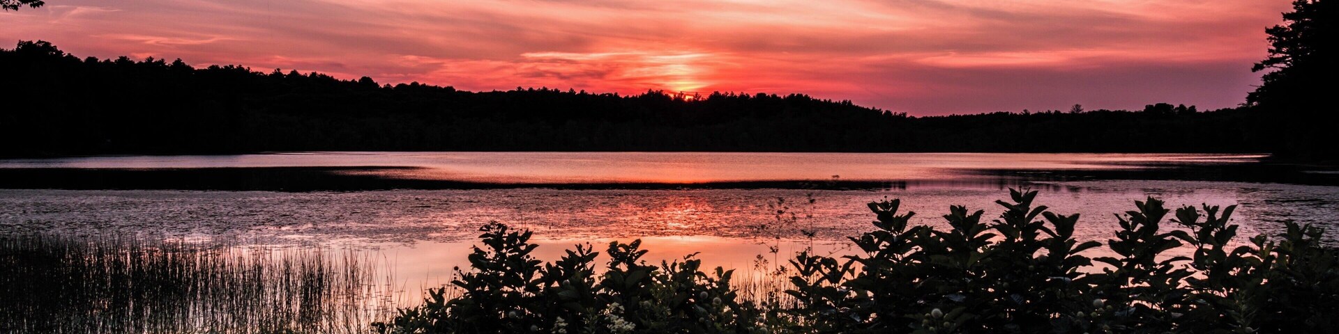 Nice pond near my home in Pelham, NH