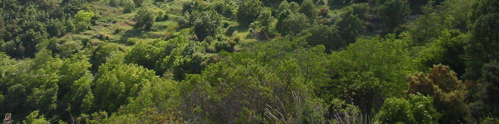 Localidad de Sant Corneli en Cercs (Barcelona, España)