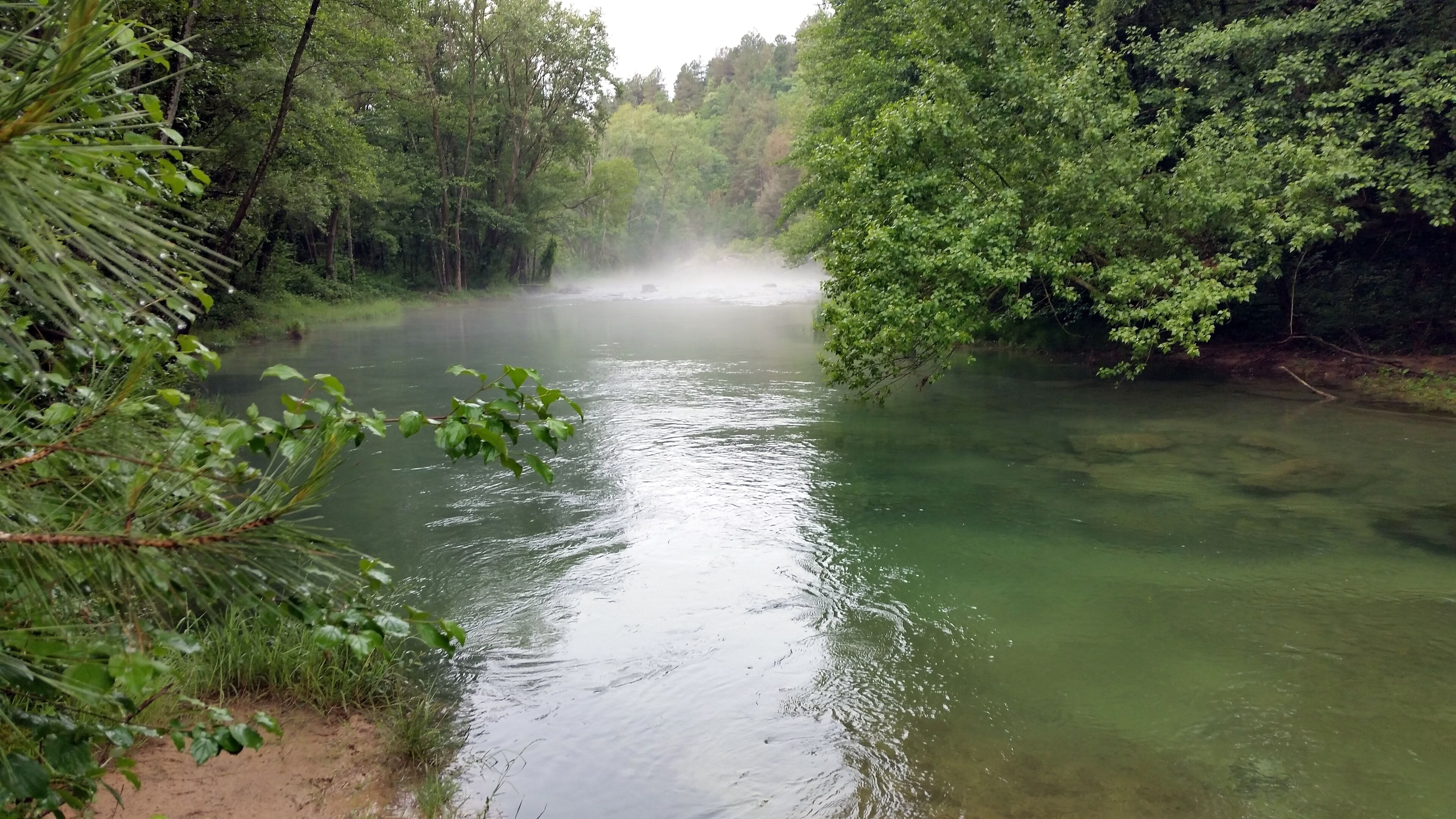 A river surrounded by dense green foliage.