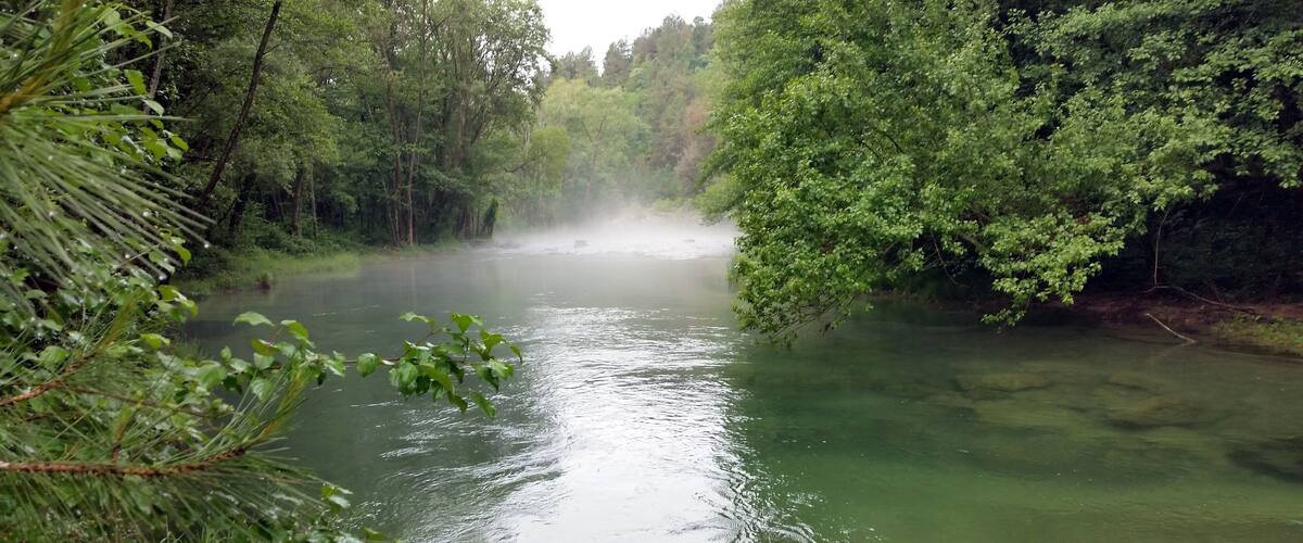 A river surrounded by dense green foliage.
