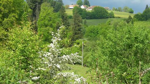 Coussac-Bonneval Pouriol 040