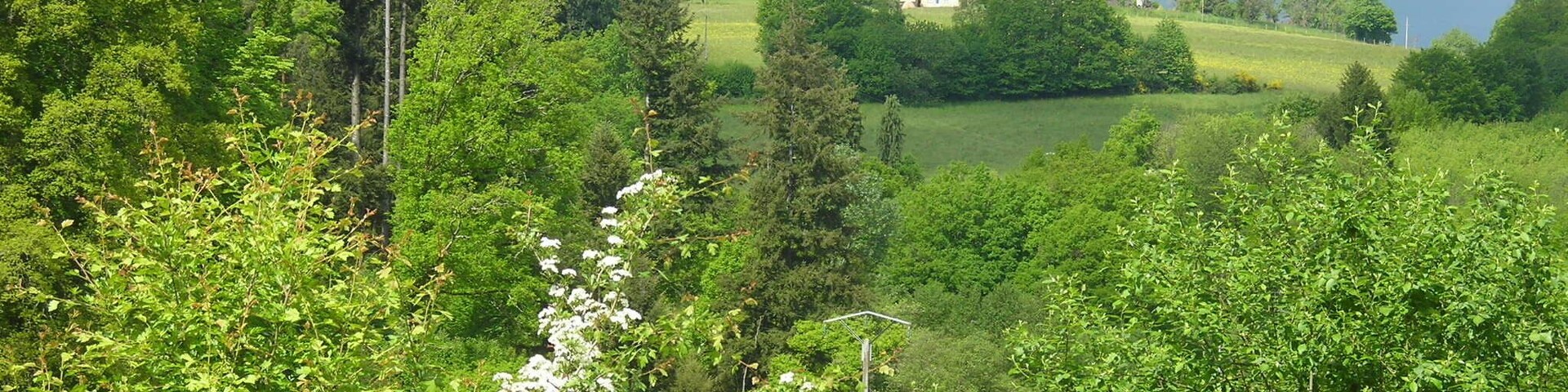 Coussac-Bonneval Pouriol 040