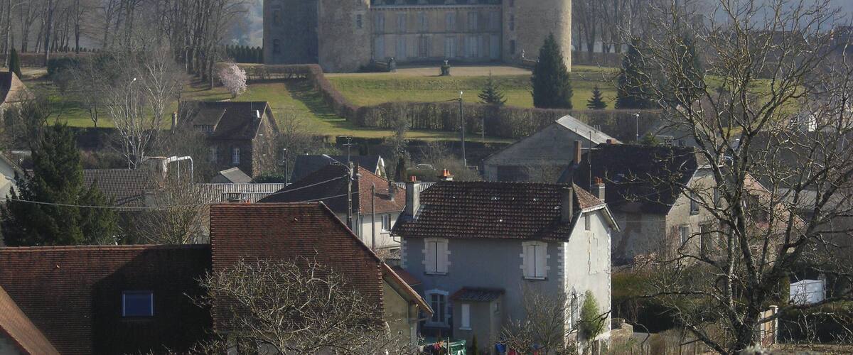A castle with multiple towers and a moat, surrounded by trees and residential buildings.