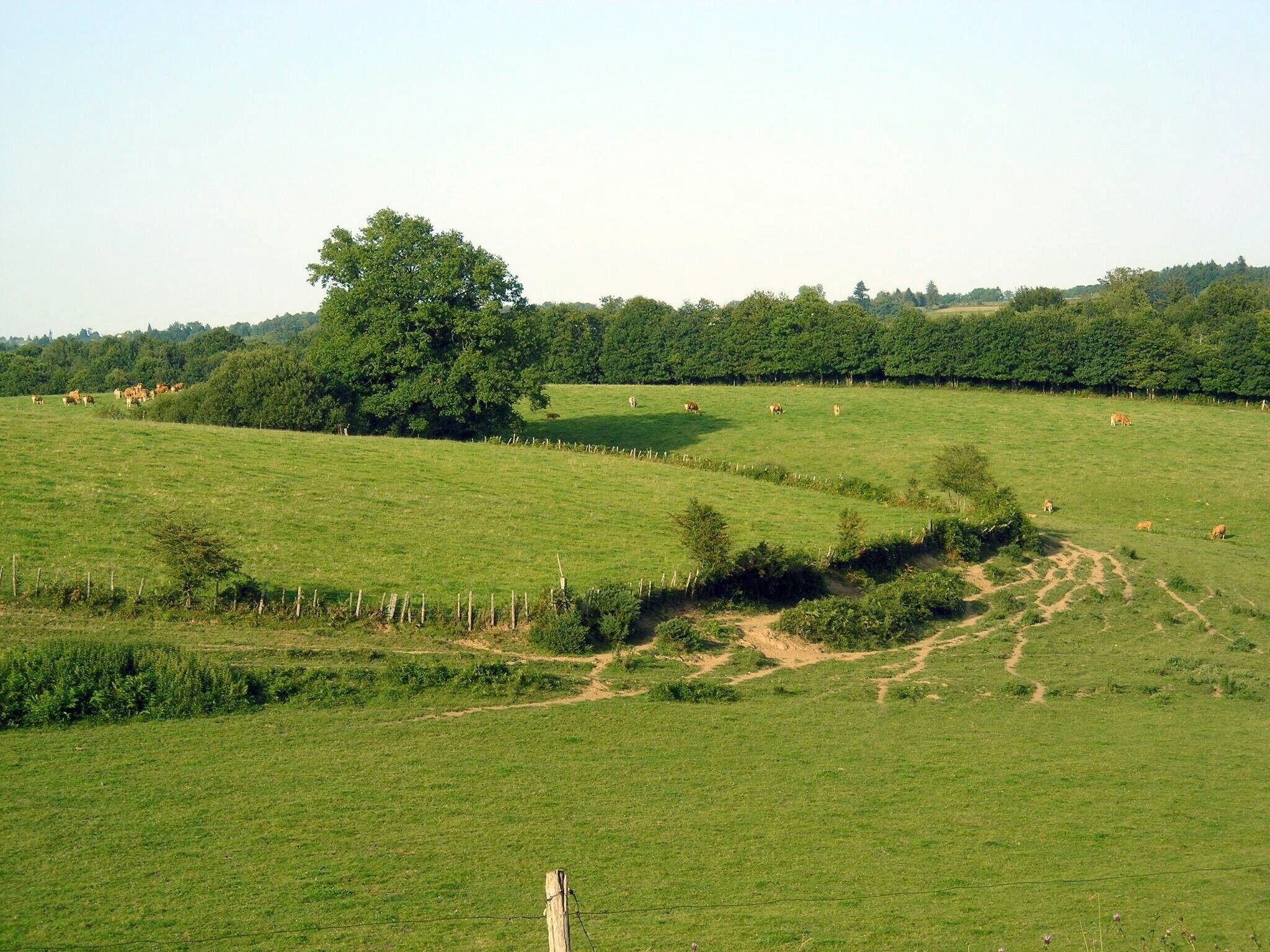 C:\Documents and Settings\ch