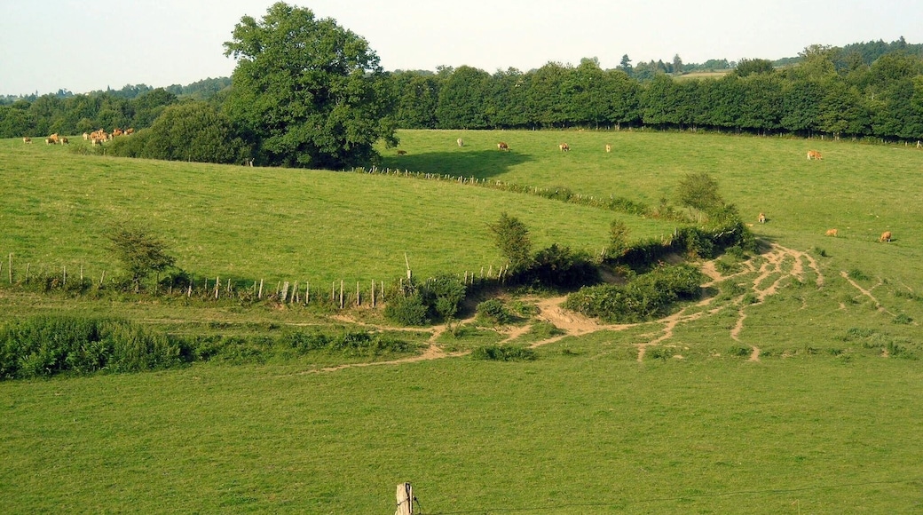 C:\Documents and Settings\ch