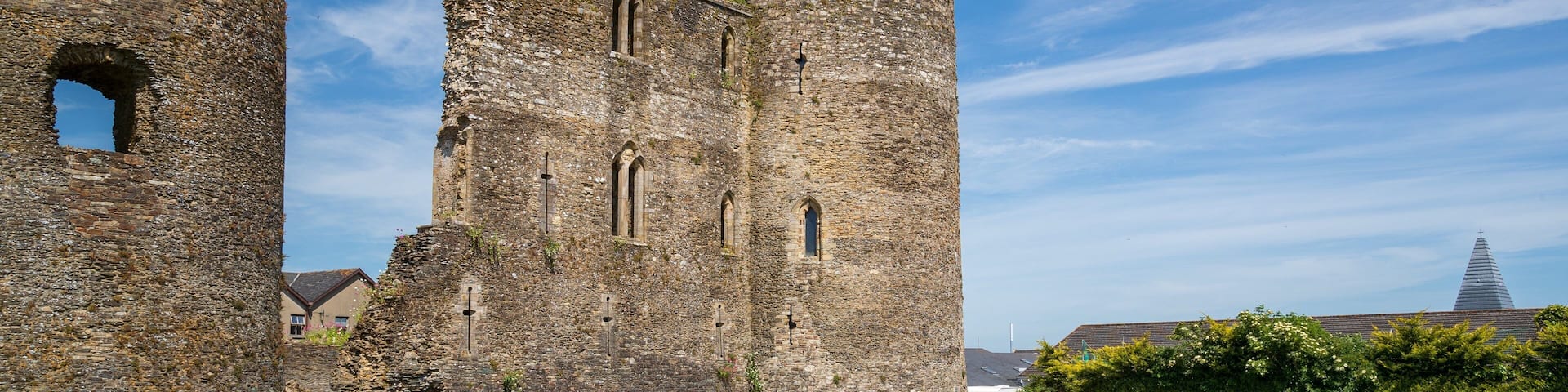 Ferns Castle which includes building ruins, chateau or palace and heritage architecture
