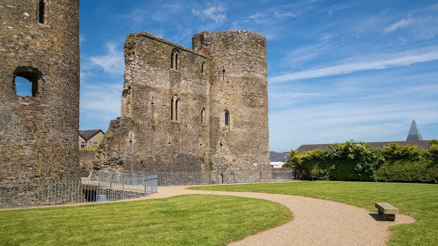 Ferns Castle which includes building ruins, chateau or palace and heritage architecture