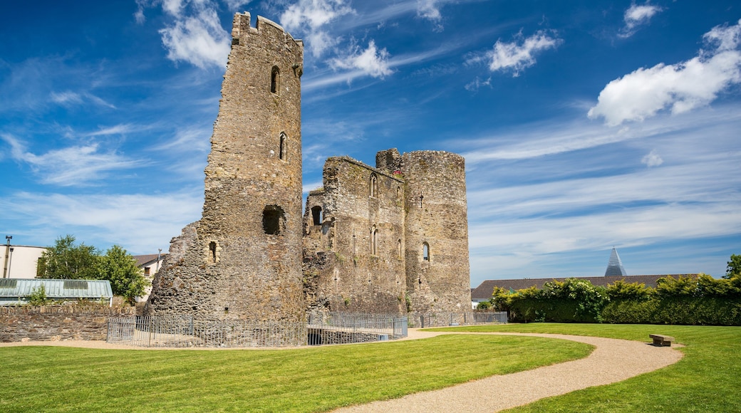 Ferns Castle showing a ruin, heritage architecture and a castle