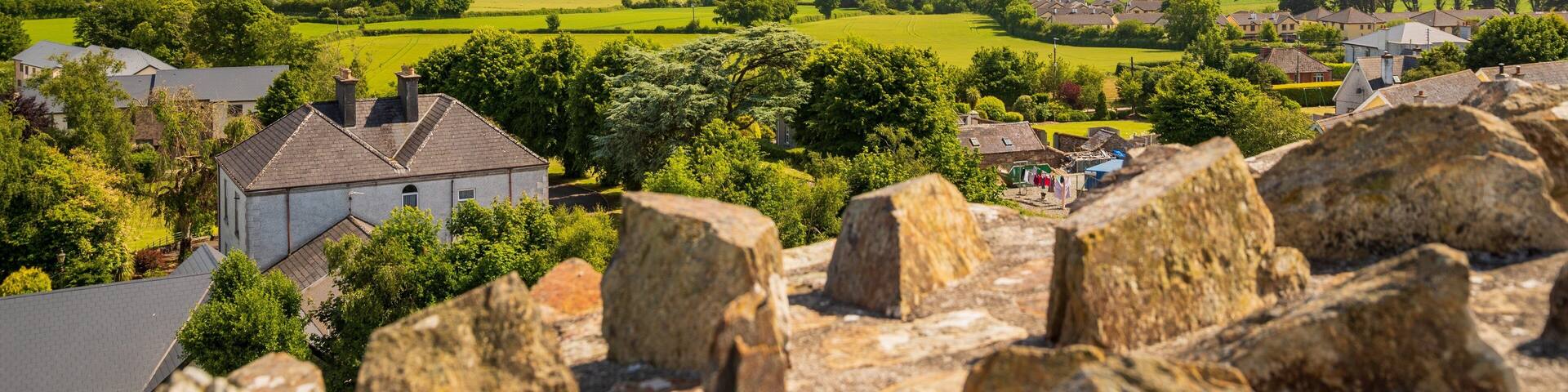 Ferns Castle showing tranquil scenes, views and landscape views