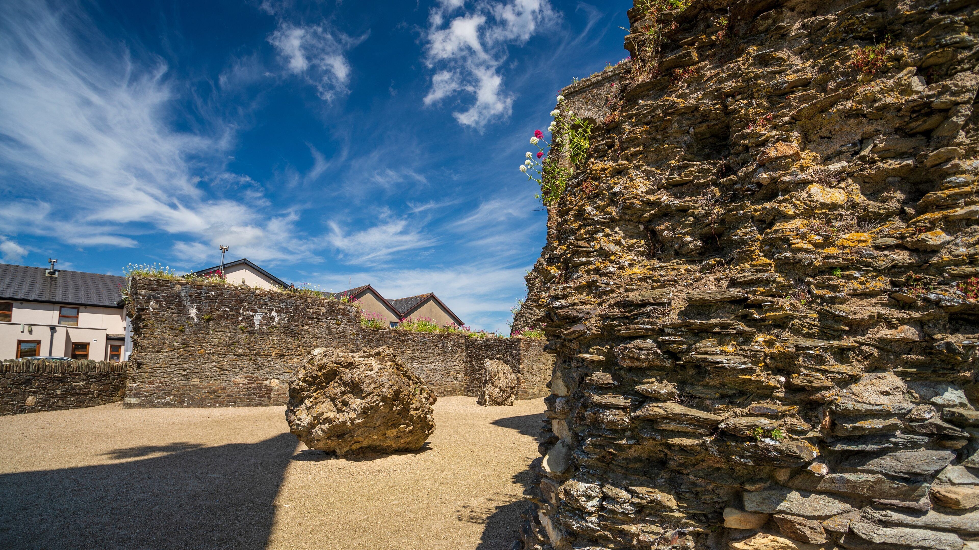 Ferns Castle featuring heritage elements