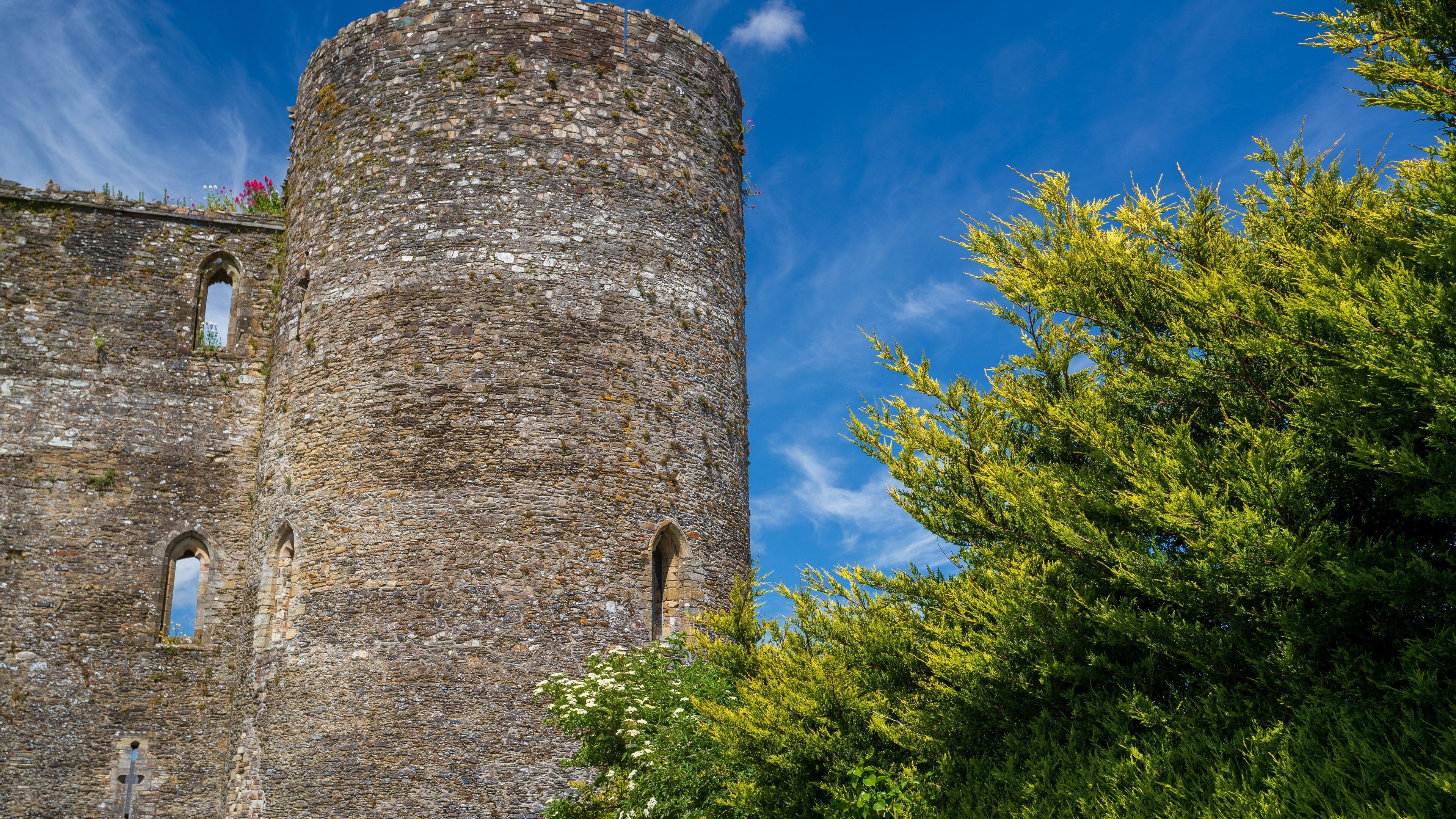 Ferns Castle featuring building ruins, heritage architecture and chateau or palace