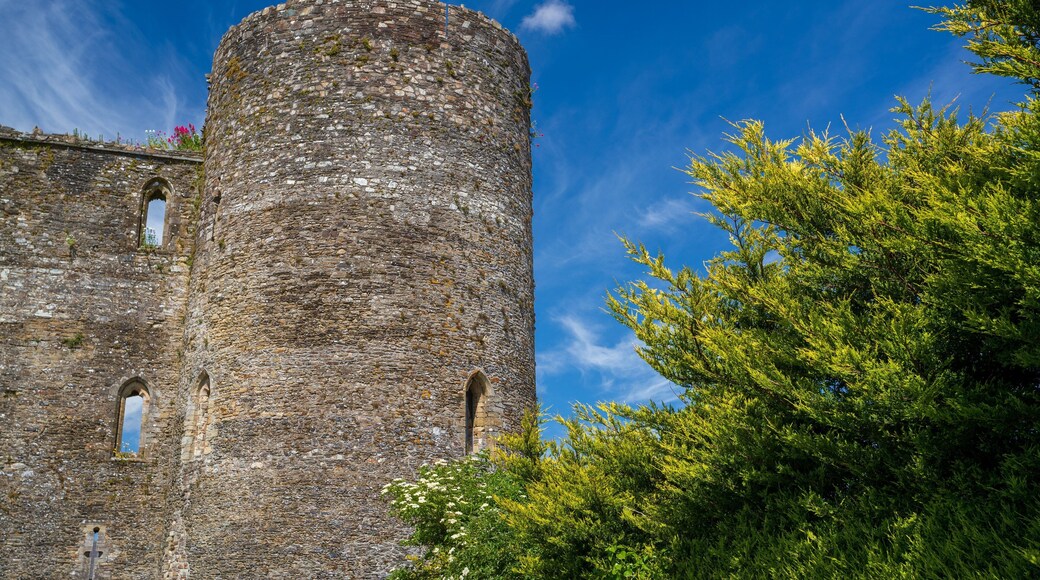 Ferns Castle featuring building ruins, heritage architecture and chateau or palace