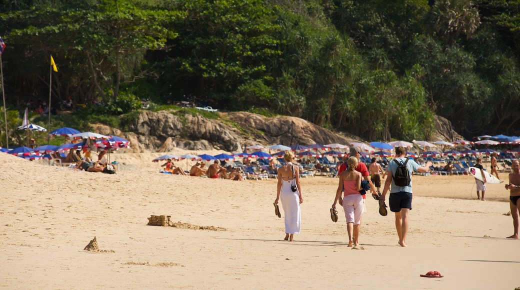 Nai Harn Beach showing tropical scenes, landscape views and a beach