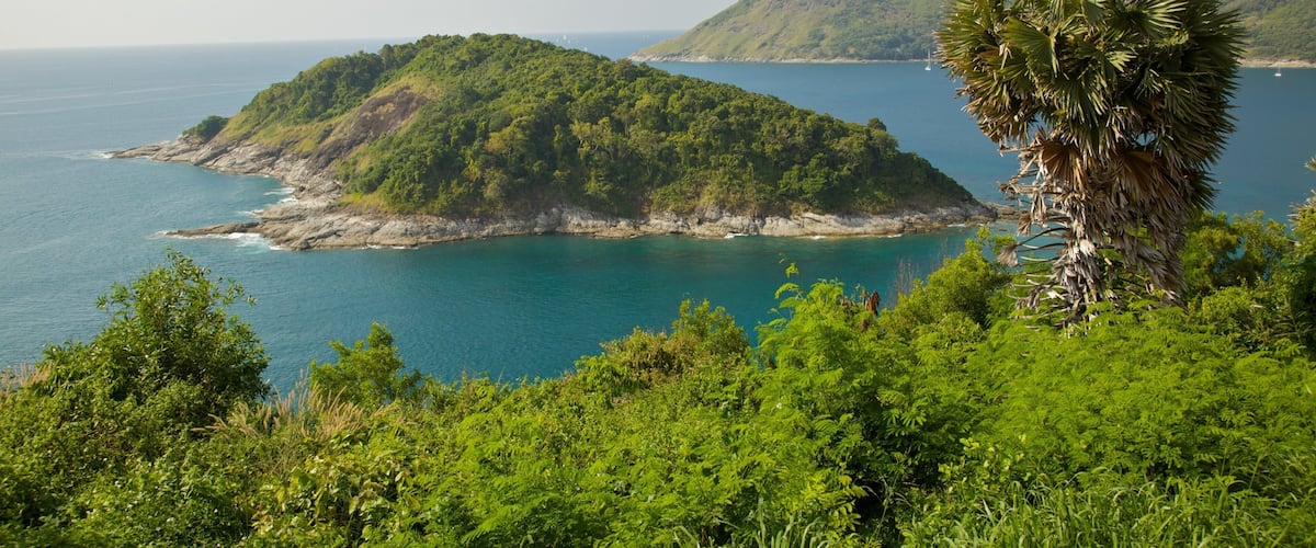 Nai Han Beach offers stunning views of lush greenery and crystal-clear waters in Phuket, Thailand during a bright sunny day
