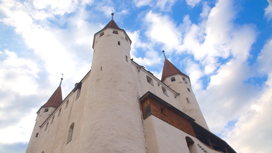 Thun Castle showing heritage elements, a castle and heritage architecture
