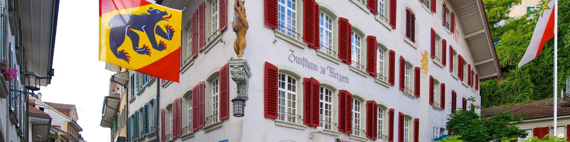Thun Castle showing street scenes