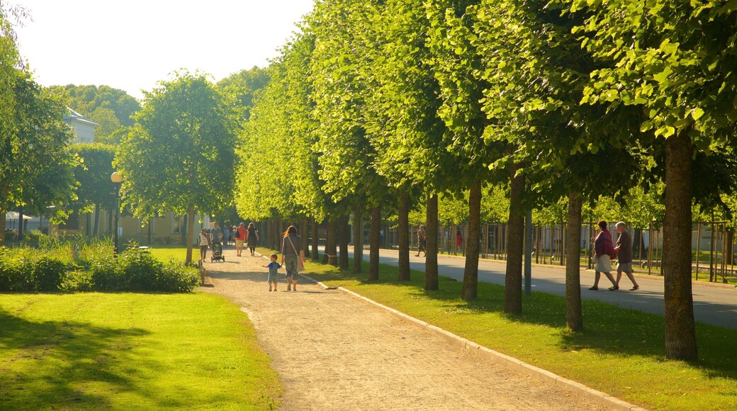 Kadrioru-parken som inkluderer park