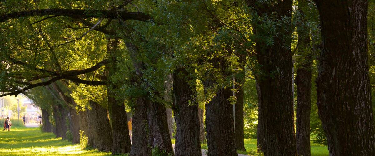 Kadrioru-parken fasiliteter samt hage