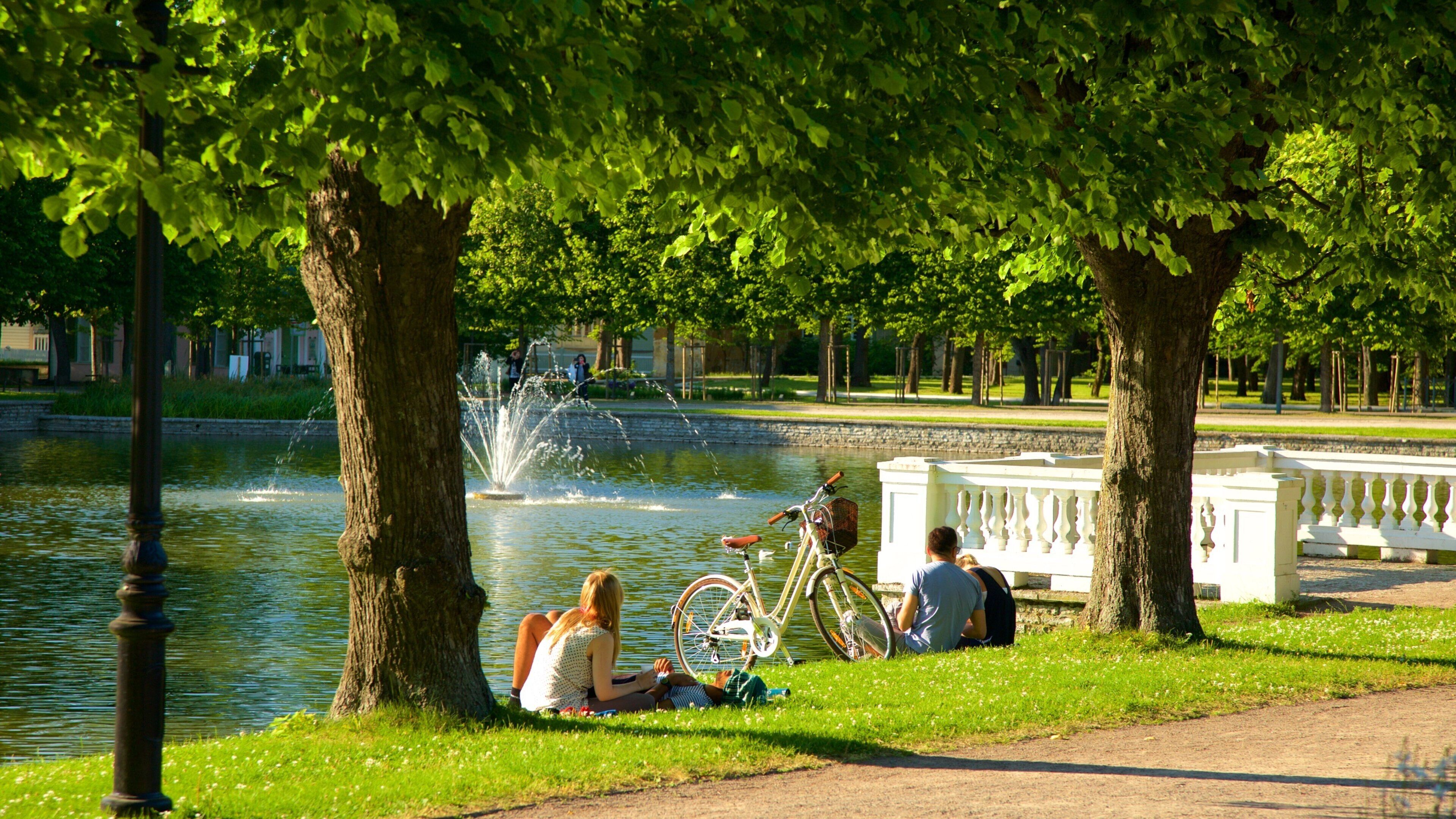 Kadrioru Park showing a fountain, a pond and a garden