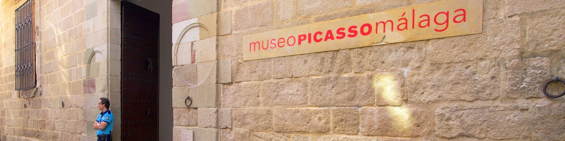 Museo Picasso Málaga mostrando escenas urbanas y también un hombre