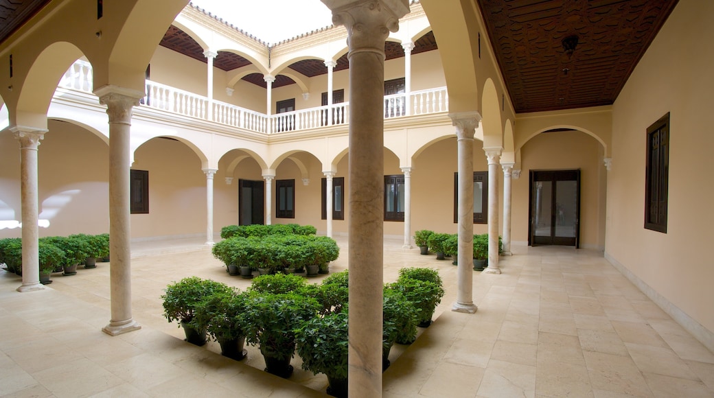 Picasso Museum Malaga showing interior views