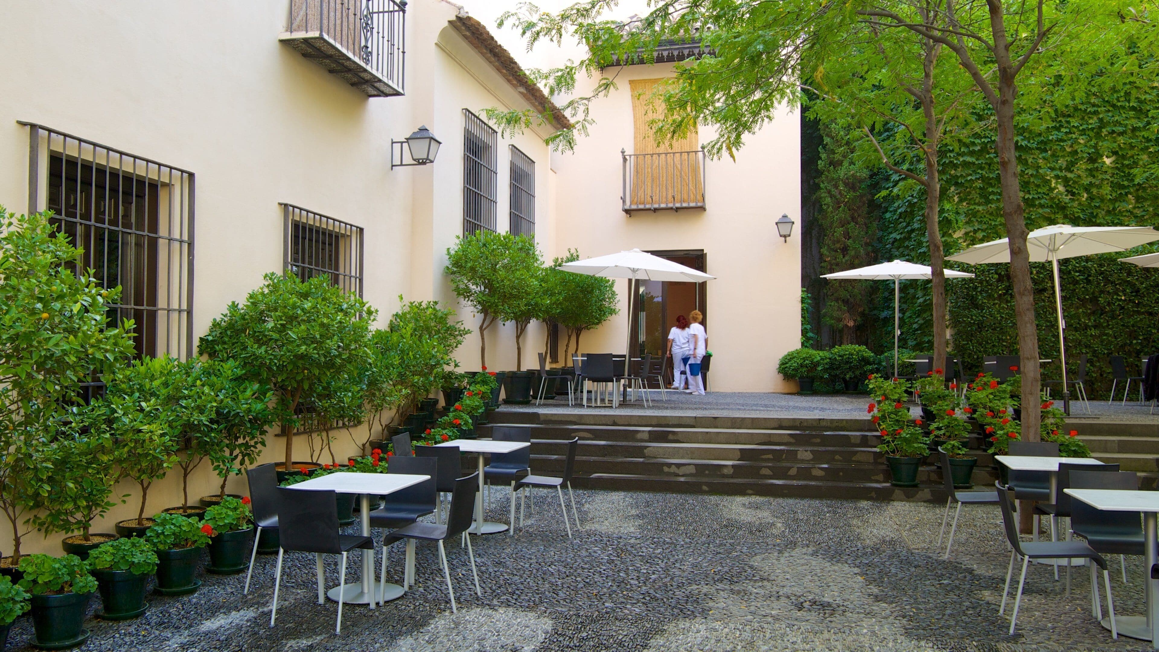 Picasso Museum Malaga featuring a city