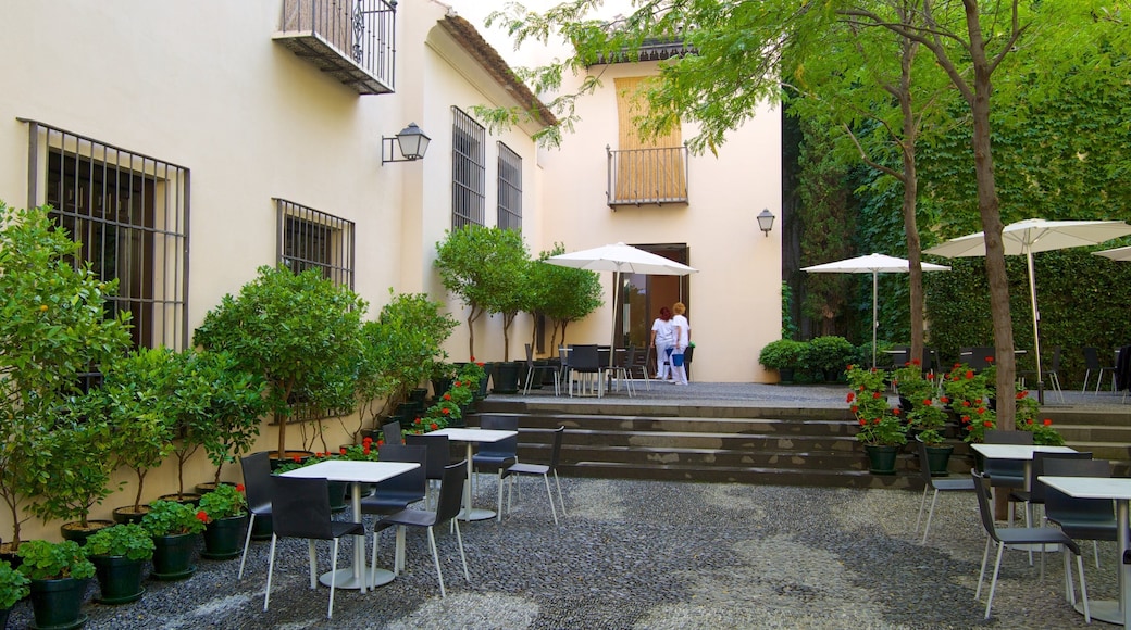 Picasso Museum Malaga featuring a city