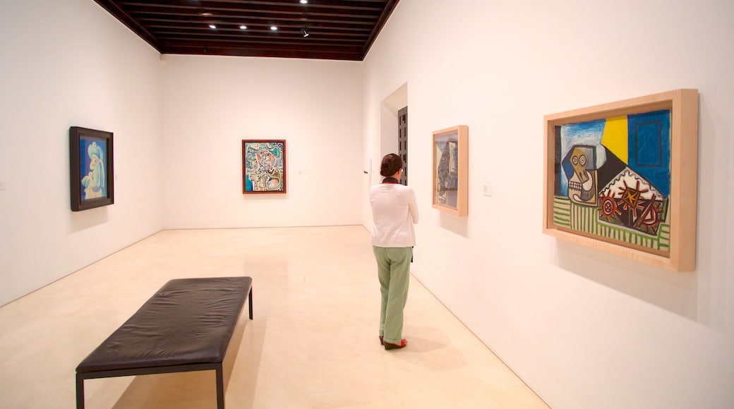 Picasso Museum Malaga showing interior views and art as well as an individual femail