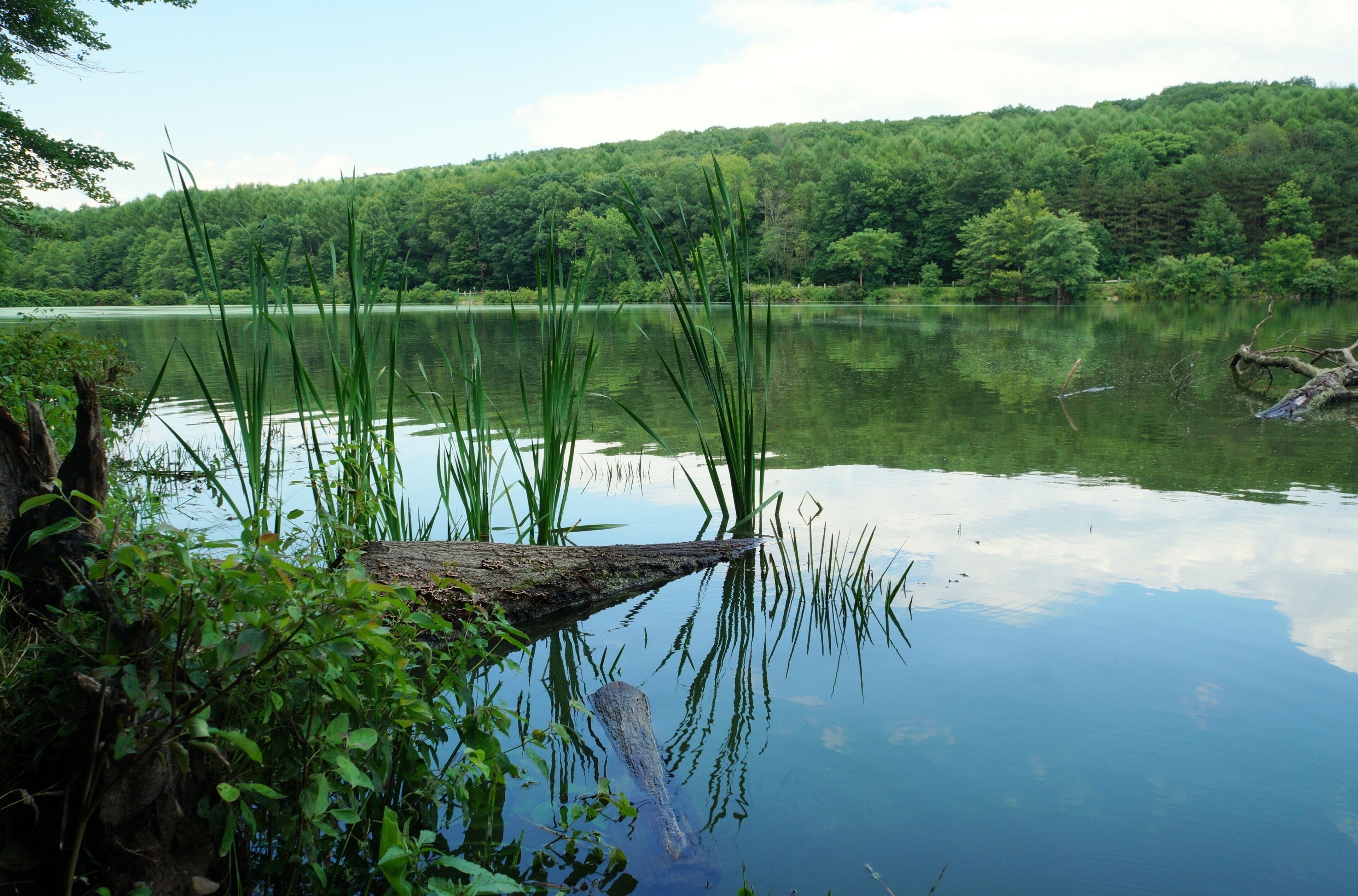 Frances Slocum State Park lake, Kingston Township, PA
