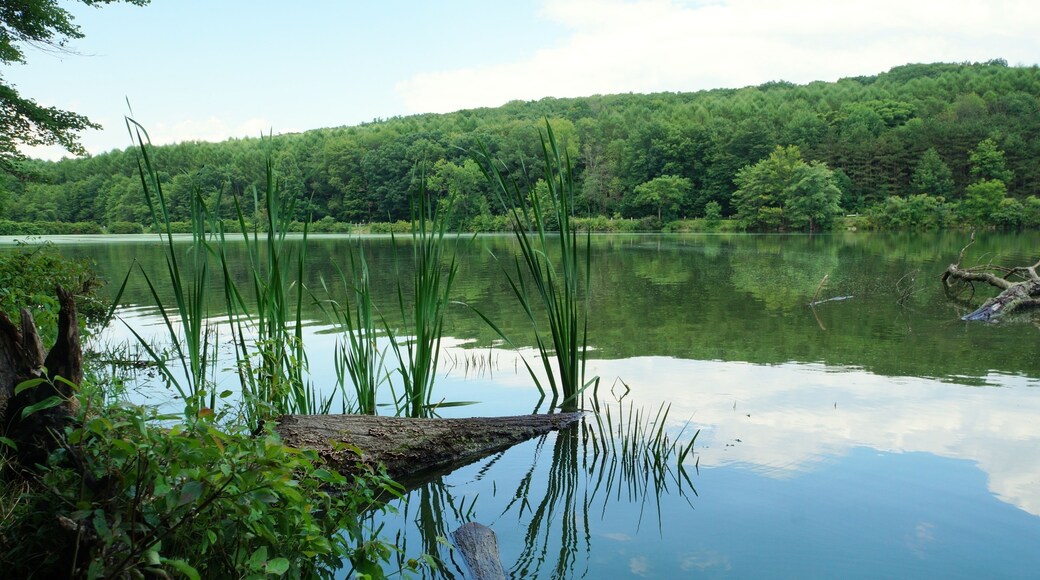Frances Slocum State Park lake, Kingston Township, PA