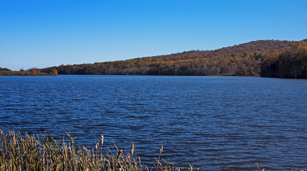 Middle Creek Wildlife Management Area on an autumn day. It’s a 6,000-acre Wildlife Management Area in PA USA. It is managed by the PA Game Commission. Its lakes get up to 100,000 migrating snow geese.