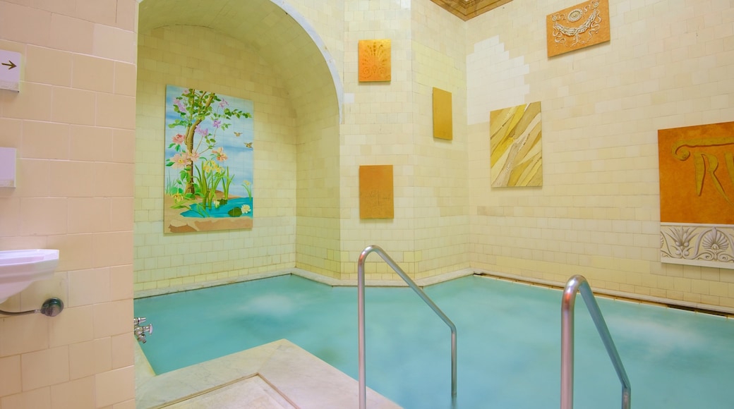 カラカラ スパ フィーチャー アート と プール